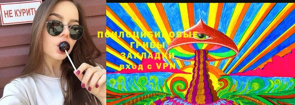 гашик Баксан