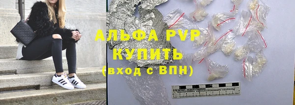 индика Тобольск