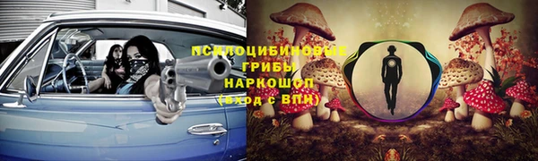 каннабис Арсеньев