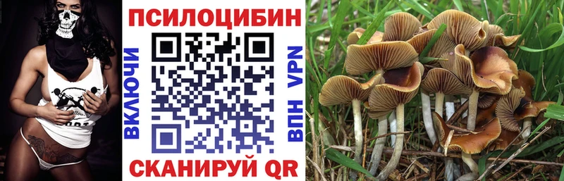 Галлюциногенные грибы мицелий  Горно-Алтайск 