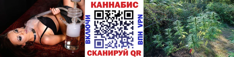 OMG tor  Горно-Алтайск  Конопля план 